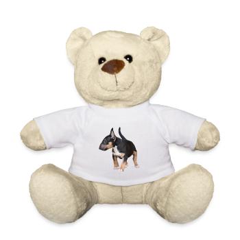 Miniatur Bullterrier - Teddy - Weiß - Vorne