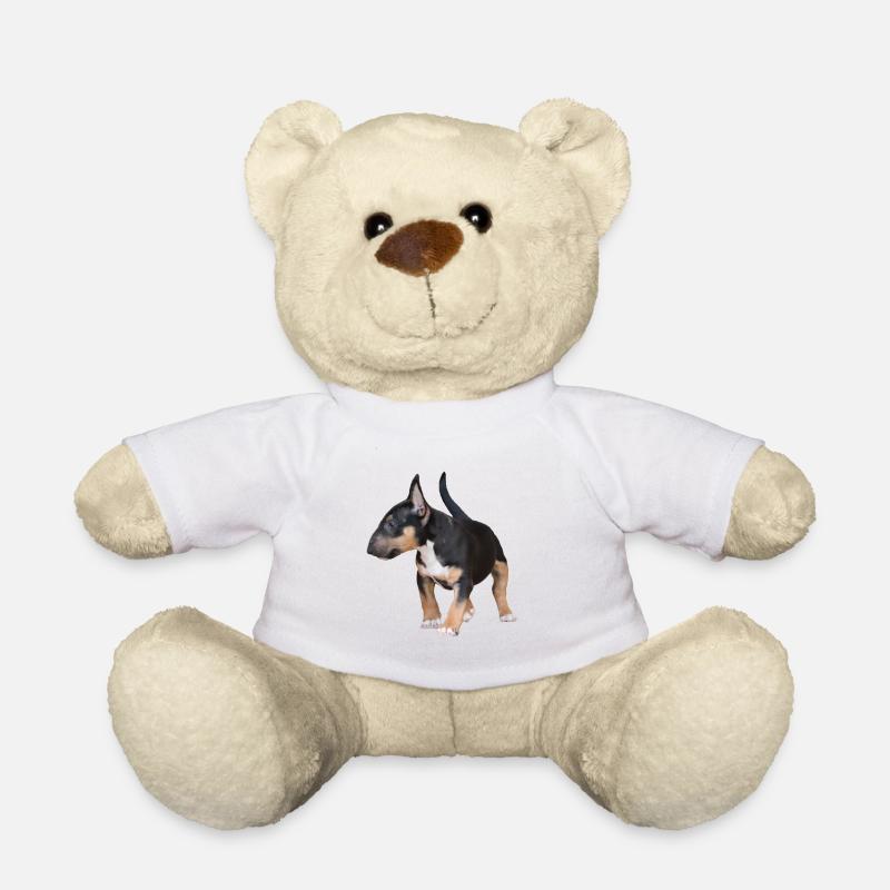Bull Terrier miniature - Nounours - blanc