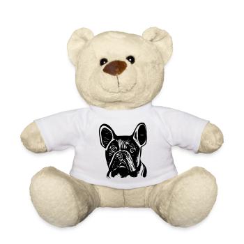 Französische Bulldogge - Teddy - Weiß - Vorne
