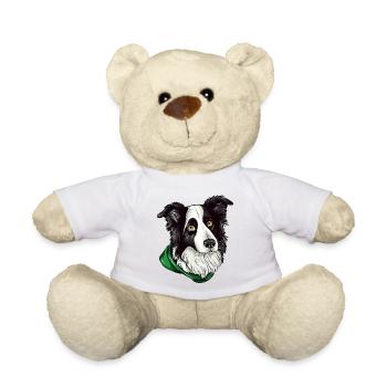 Border Collie - Teddy - Weiß - Vorne