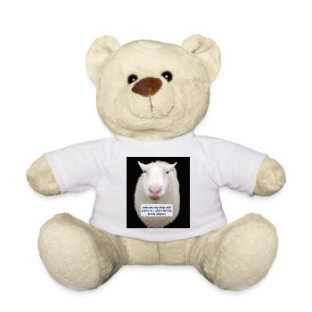 Schaf - Teddy - Weiß - Vorne