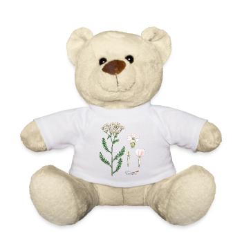 Achillée - Nounours - blanc - Devant
