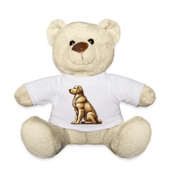 Golden Retriever - Teddy - Weiß - Vorne