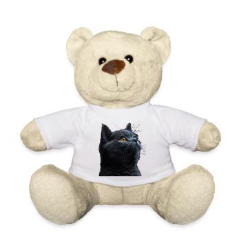 Le charmant British Shorthair - Nounours - blanc - Devant
