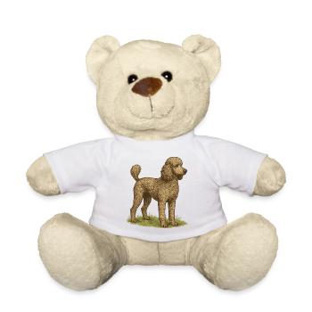 Grand caniche - Nounours - blanc - Devant