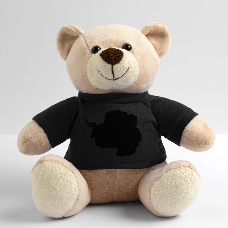 Antarktika Teddy