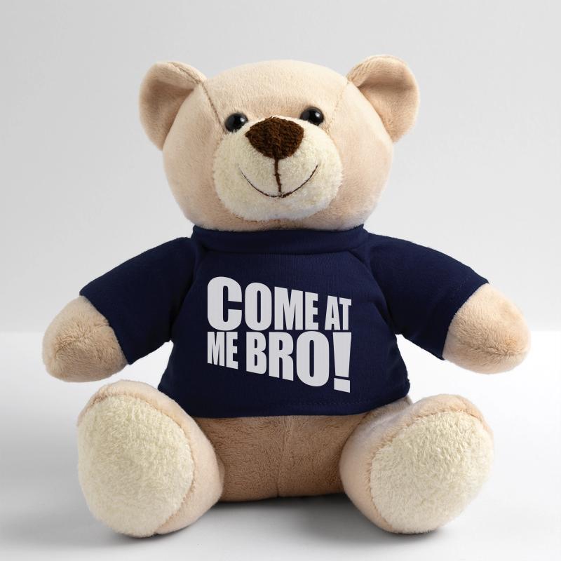 come at me bro Teddy Bear
