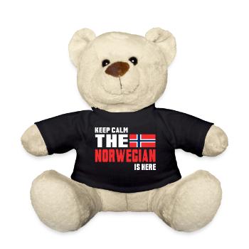 Keep Calm The Norwegian / Norwegen / Geschenk - Teddy - Schwarz - Vorne
