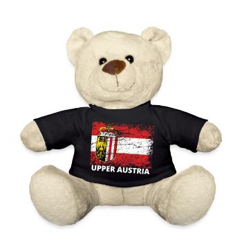Oberösterreich - Österreich Upper Austria / Linz - Teddy Bear - black - Front
