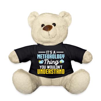It's A Meteorology Thing You Wouldn't Understand S - Teddy - Schwarz - Vorne
