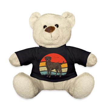 Schoko Brauner Labrador Retriever Hund - Teddy - Schwarz - Vorne