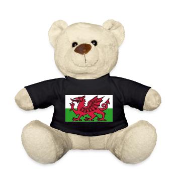 Welsh Flag - Flag of Wales - Teddy Bear - black - Front