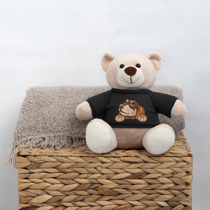 Teckel rêveur Nounours