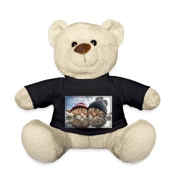 Two cute sleeping kittens - Teddy Bear - black - Front