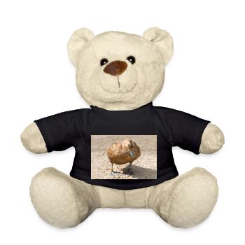 Eider Duck (Eiderente, Somateria mollissima) - Teddy - Schwarz - Vorne