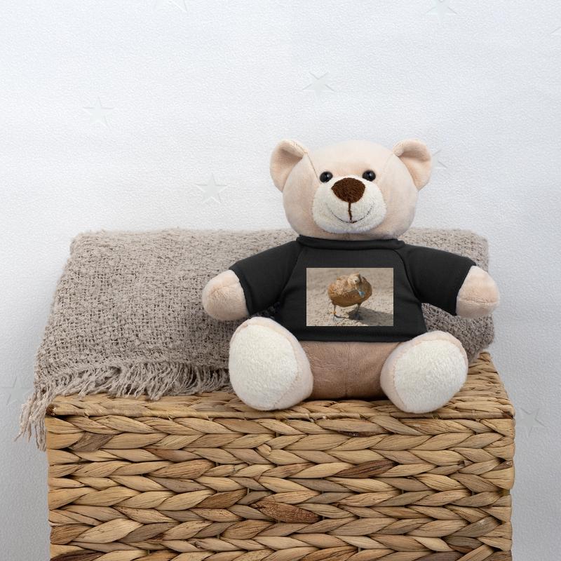 Eider Duck (Eiderente, Somateria mollissima) Teddy