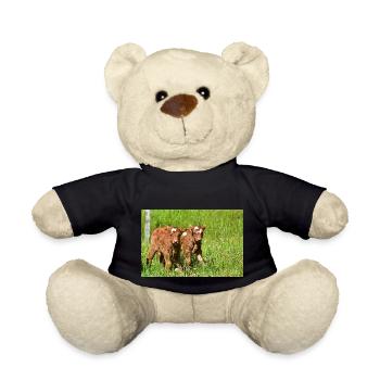 Calves on Eifel meadows - Teddy Bear - black - Front