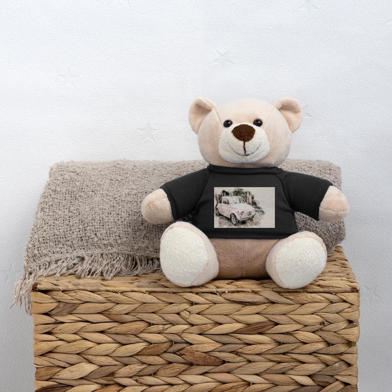 500 voitures classiques Nounours