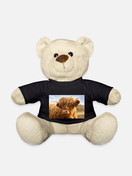 Little cow, brown calf looks at the camera - Teddy Bear - black