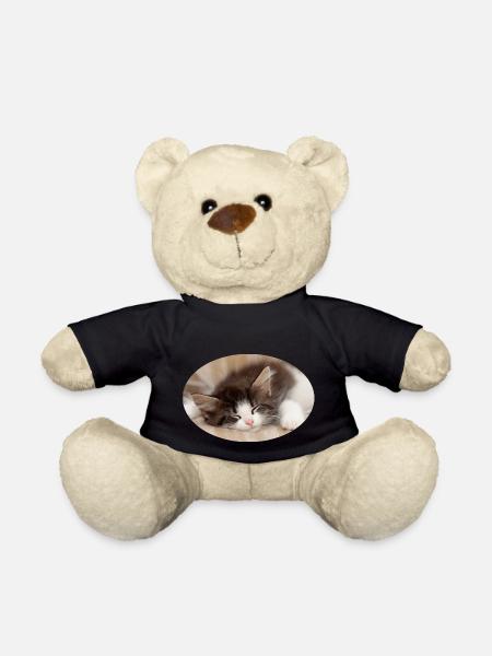 Chat endormi - Nounours - noir