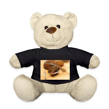 Aeluroscalabotes cf dorsalis - Malaysian Cat Gecko - Teddy Bear - black - Front