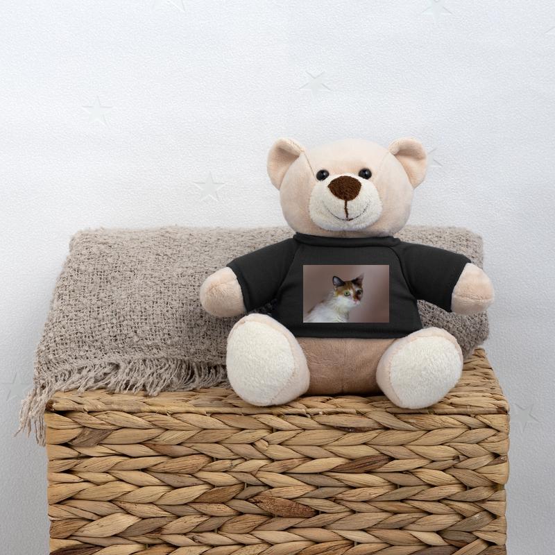 le chat au doux regard Nounours