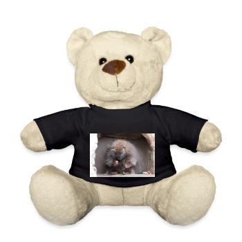 Tree-spined New World porcupines Erethizontidae - Teddy Bear - black - Front