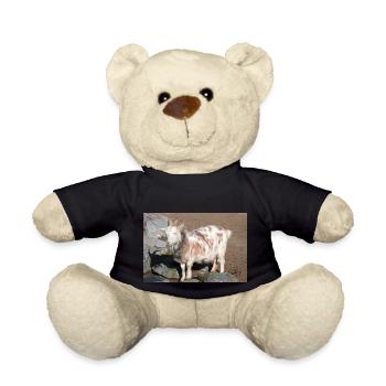 Chèvre naine ou chèvre miniature Zwergziege - Nounours - noir - Devant