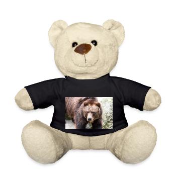 European brown bear (Braunbär) Ursus arctos - Teddy Bear - black - Front