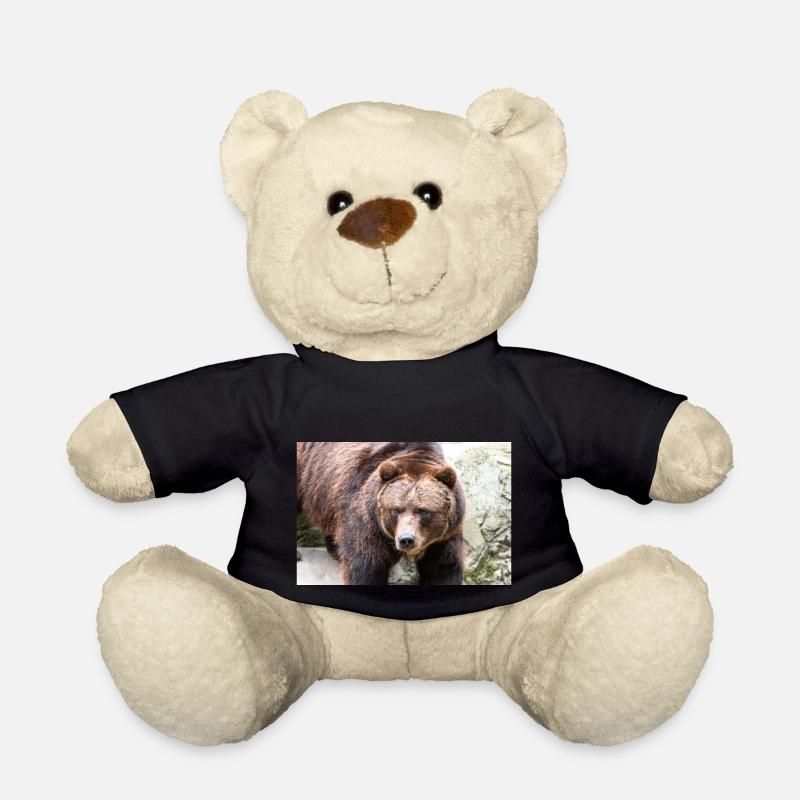 Braunbär Ursus arctos - Teddy - Schwarz