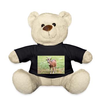 Ziege (Ziege, Capra) braun und weiß - Teddy - Schwarz - Vorne