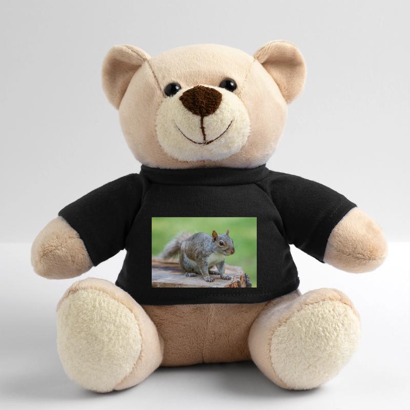 Grey squirrel Grauhörnchen Sciurus carolinensis Teddy Bear