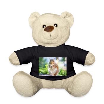 Eating Grey squirrel Grauhörnchen Sciurus carolin - Teddy Bear - black - Front