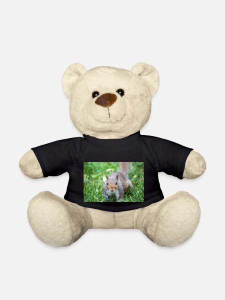 Écureuil gris Grauhörnchen Sciurus carolinensis - Nounours - noir