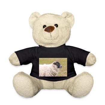 Schaf Ovis in Irland - Teddy - Schwarz - Vorne