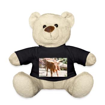 Ankole-Watusi oder Ankole Longhorn Watussirind - Teddy - Schwarz - Vorne