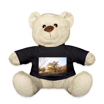 Lesum - Teddy - Schwarz - Vorne