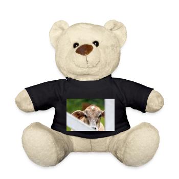 Kleines Kalb mit süßem Aussehen - Teddy - Schwarz - Vorne