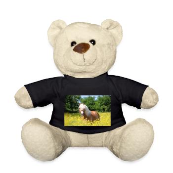 Haflinger dans le colza - Nounours - noir - Devant