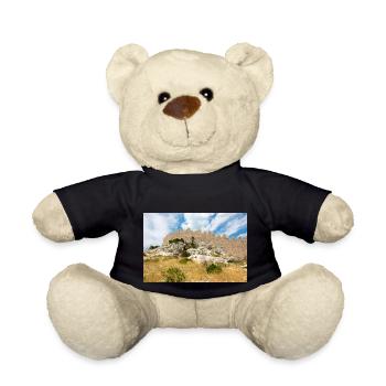 The Wall of Oštrica (Bedem Grebastica) Croatia - Teddy Bear - black - Front