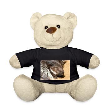 Porcupine als Porky Stachelschwein Hystricidae - Teddy Bear - black - Front