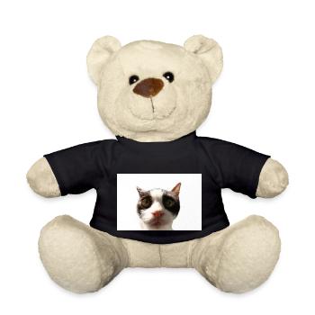 Katze - Teddy - Schwarz - Vorne