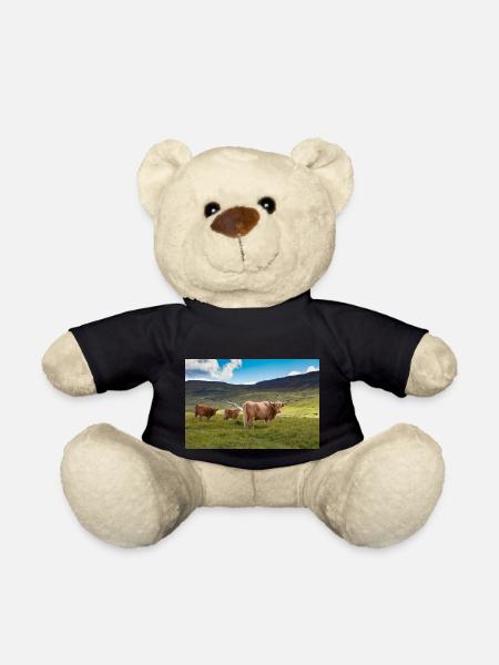 Schottische Hochlandrinder - Teddy - Schwarz