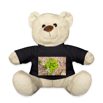 blooming colorful Wolfsmilch (Euphorbia) flower - Teddy Bear - black - Front