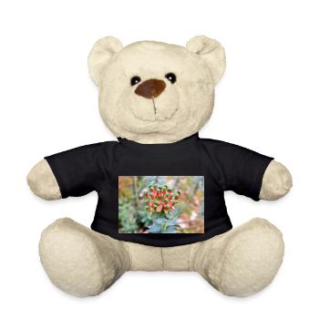 blooming colorful Wolfsmilch (Euphorbia) flower - Teddy Bear - black - Front