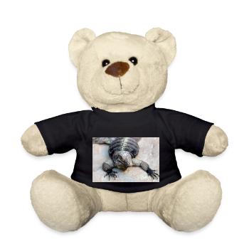 Uban Felsenleguan auch Kubanischer Bodenleguan - Teddy - Schwarz - Vorne