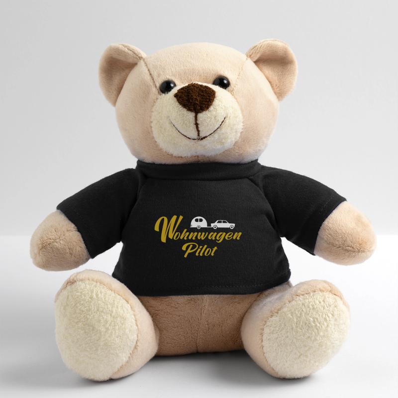 Wohnwagen Pilot Teddy