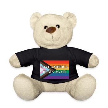 Give America Brain Again Progress Pride Flag - Teddy - Schwarz - Vorne