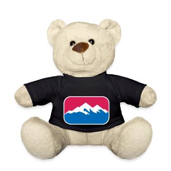 Berge Wandern Logo Schnee Alpen lustiges Geschenk - Teddy - Schwarz - Vorne
