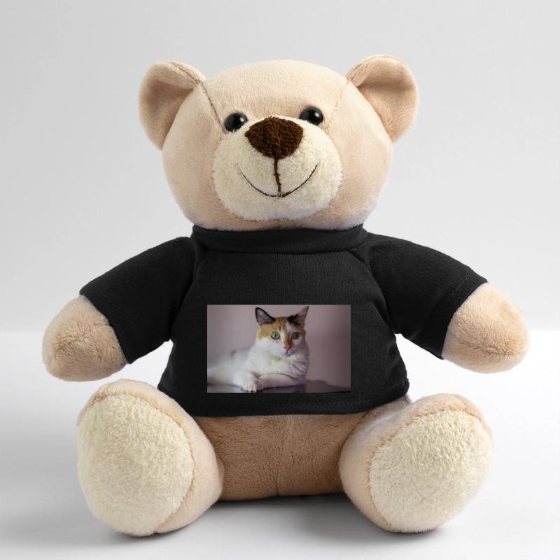 le chat au doux regard Nounours